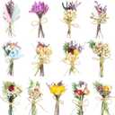 Dried Flowers - 13 PCS Mini Dried Flower Bouquet, Natural Flowers Forget Me Not Myosotis Sylvatica Babysbreath, Floral Plant Flower for Crafts DIY Photo Props Gift Dcor