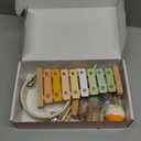 Baby Musical Instruments-Montessori Wooden Toys for Toddlers 1-3,Neutral Colors Percussion Instruments Set with Modern Boho Xylophone for Kids Preschool Educational 3+