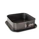 Nordic Ware Square Springform 2 Piece Nonstick Baking Pan, 14 Cup Capacity, Cheesecake Baking Mold with Removable Bottom