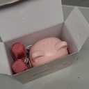 Mini Karaoke Machine Toy for Kids, Portable Karaoke Machine with 2 Wireless Microphone for 4,5,6,7,8,9,10,11,12+ Years Old Christmas Birthday Gifts Girls Boys (Pink)