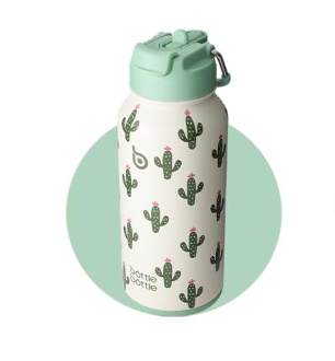 BOTTLE BOTTLE 32oz Insulated Water Bottle Stainless Steel Sport Water Bottle with Straw Dualuse Lid Design for Gym with Pill Box (Sweet Oasis)