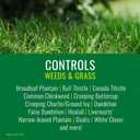 NATRIA Lawn Weed and Disease Control, Concentrate, 24 oz, 1,875 SQ FT