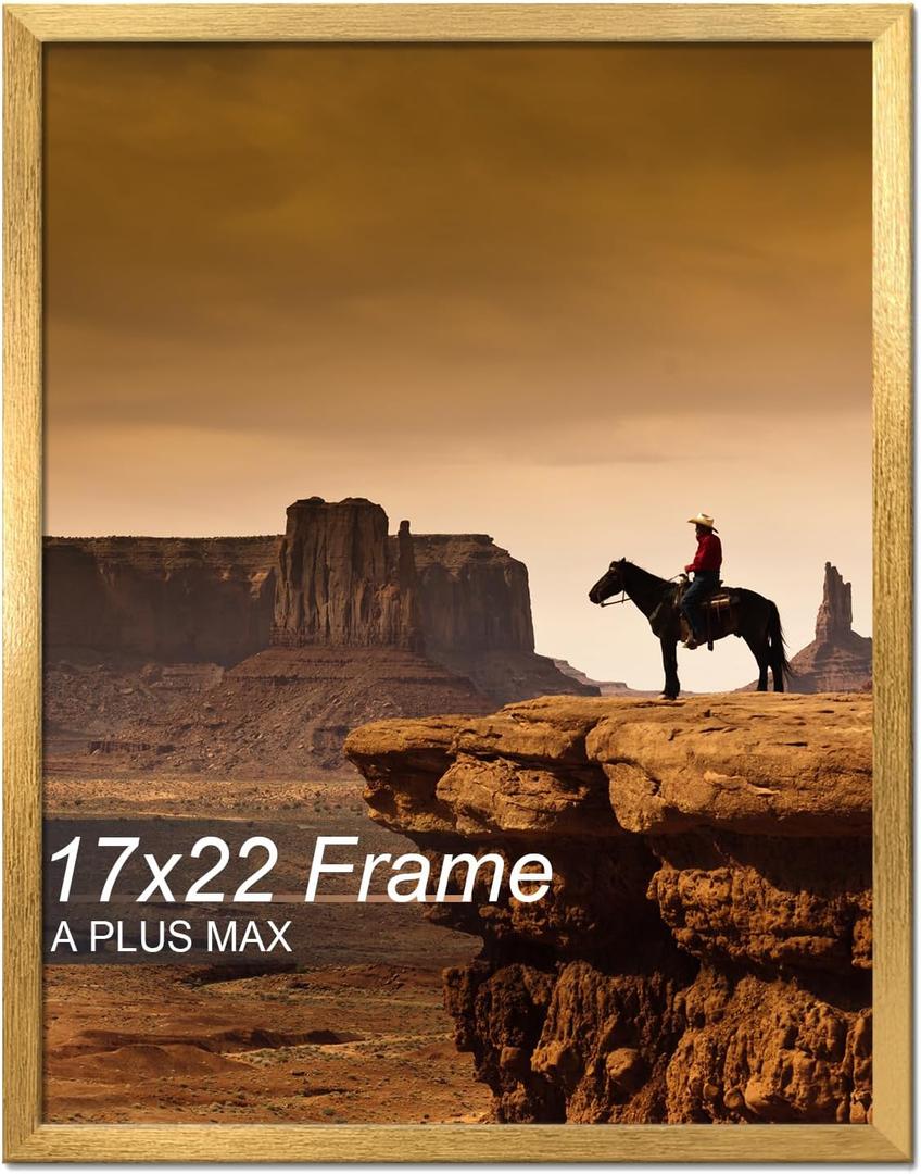 A PLUS MAX 17x22 Picture Frame Gold Light Weight Wall Mount