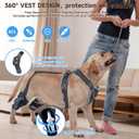 ELEGX Dog Knee Brace for Torn ACL & Hind Leg Support with Side Stabilizers Adjustable Dog Hip & Leg Brace with Handle for Cruciate Ligament, Arthritis Relief, Joint Stability & Injury Recovery, M