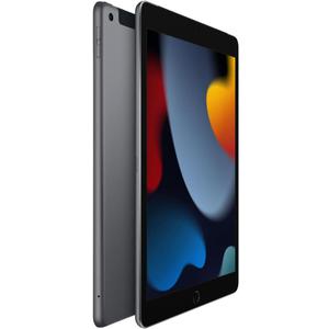 Apple 2021 iPad (10.2-inch, Wi-Fi + Cellular, 256GB) - Space Gray
