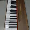 STRICH 37 Keys Kids Piano Keyboard, Mini Digital Piano for Kids, Volume Adjustable, Music Book, Wood Piano for 3+ Girls and Boys, Walnut Color, SEK-37