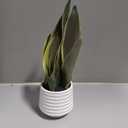 Artificial Snake Plant Potted, 15" Faux Plant, Suitable for Home Office Living Room Window Sill Indoor Decor Housewarming Gifts