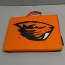 Logo Brands Officially Licensed NCAA Unisex Bleacher Cushion, One Size, Team Color (14" x 14" x 1")