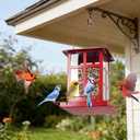 Bird Feeder, Heavy Duty Metal Bird Feeders for Outdoor Hanging, Retro Red House Wild Birdfeeder, Rainproof & Waterproof, 6 LBs Extra Large Capacity