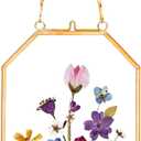 Pressed Flower Frames, Glass Floating Frames for Display Dried Plant Specimen Picture, Hanging Brass Photo Frame with Chain, Double Clear Glass, Vintage Wall Decor, Octagon, Gold, 4x6 Inches