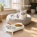 Elevated Cat Bowl, Raised Cat Food and Water Bowl Set for Indoor Cats, Splash Proof with 2 Stainless Steel Pet Food Bowls for Cats and Puppies, Whisker Fatigue and Dishwasher Safe - White