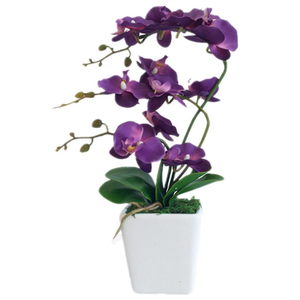 YSZL 15" Tall Artificial Silk Phalaenopsis Orchid Flower Plant Pot Arrangements (Dark Purple)