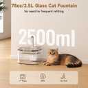 PETTEN Glass Cat Water Fountain, Ultra Quiet Automatic Pet Water Fountain for Cats, Easy Clean & Hygienic, No Plastic, Filtered Circulating Drinking Fountain for Indoor Cats (78oz/2.5L)