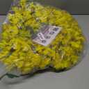 Spring Wreaths for Front Door, 24 Inch Yellow Forsythia Spring Door Wreath, Farmhouse Spring Door Wreaths on Grapevine for Celebration Wall Window Decoration Hanging