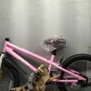 RoyalBaby Freestyle 20" Bicycle for Boys and Girls,Pink