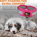 Durable 2-inch AirTag Dog Collar for Medium Dogs  Reflective, Heavy-Duty Metal Buckle, Comfortable Mesh Lining, Includes Patch and AirTag Holder (Pink, Medium: Fit 15" - 18" Neck)