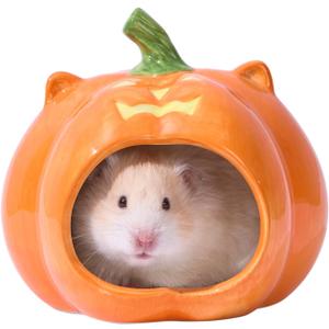 Pumpkin Shaped Ceramic Hamster Hideout - Halloween Small Pet House for Syrian Dwarf Hamsters, Gerbils, Mice, Rats