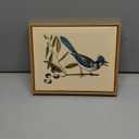 Crmotu Vintage Framed Wall Art, Blue Bird Still Life Art Prints, Animal Nature Wall Decor Artwork, Retro Rustic Farmhouse Decor Canvas Pictures, Room Decor Aesthetic, Kitchen Decorations, 9x11 Inch (Blue-crested Jay)