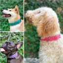 Tuff Pupper Classic Heavy Duty Dog Collar | 10x Stronger Than Leather | 100% Waterproof & Odor Proof Dog Collar | Tough Rust-Proof All Metal Hardware