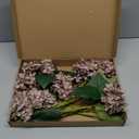 Suncalla 8 Pcs Coffee Brown Hydrangea Artificial Flowers 18 Inch Valentines Faux Hydrangea Flowers with Stems Fake Bouquet Bulk Realistic Floral for Spring Summer Wedding Home Table Indoor Decoration