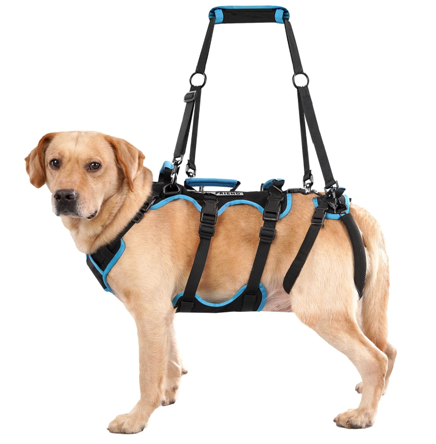 Lafoty Dog Lift Harness for Large Male Dogs, 2in1, Back Leg Support & Mobility Assistance for Senior Dogs, PostSurgery Recovery Sling(Black, Large)