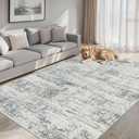 PLHXFR 6x9 Area Rug Living Room: Modern Abstract Washable Carpet Grey
For Bedroom Dining Room Farmhouse Nursery Home,Machine washable,Non Slip,Large Soft Neutral,Stain Resistant, Indoor Floor
Amazon's Choice