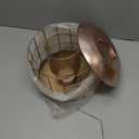 Metal Caged Bird Feeder, Squirrel Proof Bird Feeders for Outdoors Hanging, Wild Birds Feeder for Small Sparrows Finchs, Squirrel Chew-Proof Birdfeeder for Outside Backyard Birding Watching Gifts