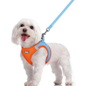 rabbitgoo Dog Harness Small Sized and Leash Set, Step in Soft Light Puppy Vest, Breathable Mesh Pet Harness, Reflective for Safe Easy Walking, Blue & Orange M (M (Chest: 16 - 18.5"))