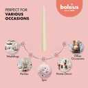 BOLSIUS Ivory Taper Candles - 10 Pack Unscented 10 Inch Dinner Candle Set - 8 Hours Burn Time - Premium European Quality - Smokeless and Dripless Household, Wedding, Party, and Home Dcor Candlesticks