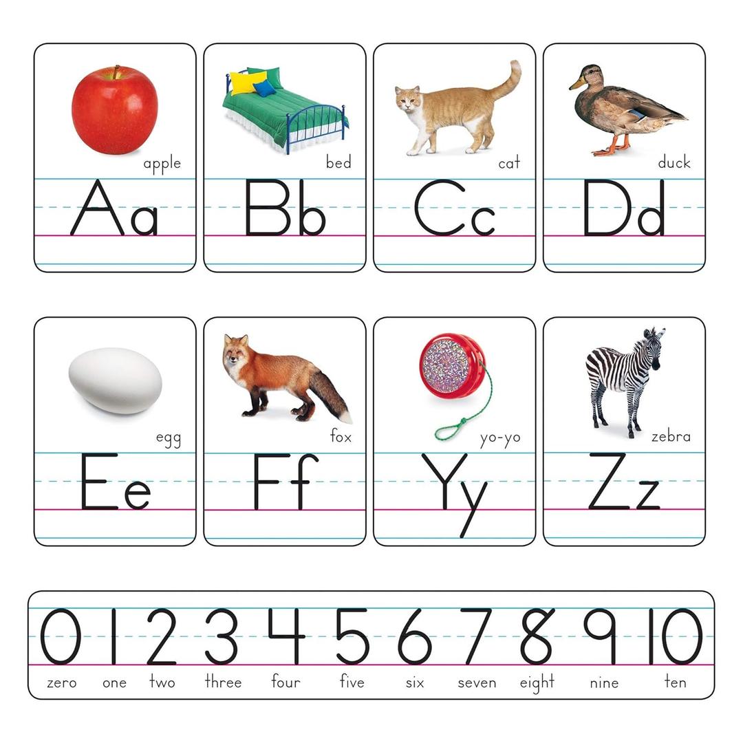 Trend Photo Alphabet Cards Zaner-Bloser Manuscript Bulletin Board Set, ABC Number Line, Classroom Decor