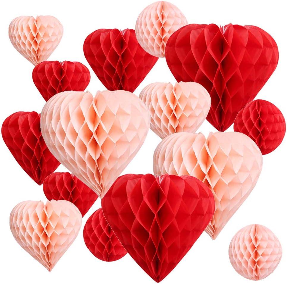 UNIQOOO 16 Pack Red Blush Pink Valentines Day Decorations Pom Pom, Heart & Ball Tissue Paper Honeycomb for Party Decor, Wedding, Engagement, Bridal Shower