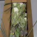 VIERENA 12 Pcs Faux Silk Pompon Mum Artificial Flowers for Vase -27", Bulk Fake Chrysanth Branches with Stems for DIY Bouquet Centerpieces Wedding Fillers Arrangements Shower Decorations (Cream)