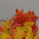 TURNMEON 2 Pack Thanksgiving Decorations Enlarged Maples Leafed Lights Total 20Ft 40LED Fall Decorations for Home, Battery Operated Autumn Garland Waterproof Indoor Outdoor Holiday Thanksgiving Decor