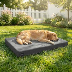 Sytopia 42 Inch Indestructible Dog Beds for Large Dogs, XL Canvas Outdoor Chew Proof Dog Bed, Waterproof & Washable Orthopedic Crate Bed with Non-Slip Bottom, Dark Grey