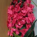 IPOPU 10 PCS Gladiolus Artificial Flowers Bulk 30.3 in Gladiolus Flowers Silk Gladiolus Flowers with Stems Artificial Gladiolus Flowers Faux Gladiolus for Home Wedding Office Decoration(Hot Pink)