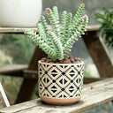 Ceramic Planter 4 Inch Plant Pots Indoor Outdoor Succulent Plant Pot Flower Pots Mid-Century Planter Ceramic Pot (Rhombus)