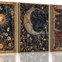 Moonlit Celestial Framed Canvas Wall Art 16x24 inch, 16"x24" Natural