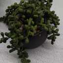 Winlyn Set of 3 Artificial Succulent Plants in Black Concrete Pots Faux Aloe Hops String of Pearls Potted Plants Small Fake Plants Desk Plants for Home Office Desk Kitchen Bathroom Shelf Windowsill
