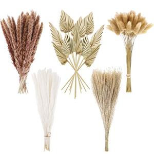 Chenkaiyang Dried Pampas Grass Decor Bulk, Dried Palm Spears Bunny Tails Pampas Reed Grass Dried Palm Leaves Dried Flower Bouquet for Wedding Boho Home Decor