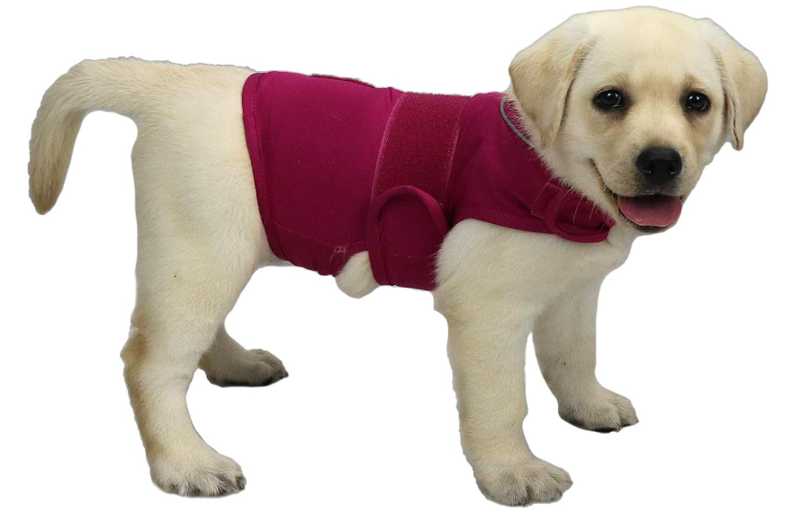 Comfort Dog Anxiety Relief Coat, Dog Anxiety Calming Vest Wrap for Thunderstorm,Travel,4th of July Fireworks,Vet Visits,Separation Anxiety Relief for Dogs (X-Small, Rose)