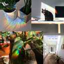 Olicard Window Suncatcher Sticker Indoor Rainbow Prism Window Film Bedroom Decoration, Anti Collision Window Decals for Bird Strikes, Sun Catchers Window Decals, Window Rainbow Maker for Home Decor (Devil Rays)