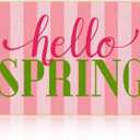 Tioncy Hello Spring Door Mat for Front Door 30''x 17'' Pink Non Slip Decorative Floor Mats for Spring Holiday Home Indoor Outdoor Entrance Garden Patio Porch Decor