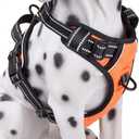 PoyPet No Pull Dog Harness, Reflective Comfortable Vest Harness with Front & Back 2 Leash Attachments and Easy Control Handle Adjustable Soft Padded Pet Vest for Small to Large Dogs (Orange,L)