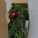 6 FT Christmas Garland with Lights, Battery Operated Pre-Lit Pine Cone Greenery, 20 Warm LEDs Artificial Xmas Decor with Timer, Holiday Decoration for Indoor Mantel Staircase Doorway Window