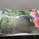Posterazzi Hawaii Maui Wailua Waterfall And Rainforest Bougainvillea In Foreground B1605 Poster Print, (24 x 38)