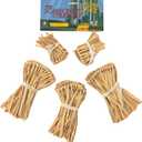 Rubies The Wizard of Oz: Scarecrow Straw Accessory Kit for Kids or Adults, Unisex No Size
