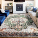 Green Boho Area Rug 6x9 Washable Large Vintage Rug for Living Room Bedroom Office Kitchen Entrance Dining Room Non Slip Soft Low-Pile Farmhouse, Green/Multi