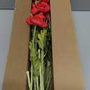 ATFL Red Poppy Flowers Artificia Fake Faux Silk Poppies Bulk with Stems
red poppies, 12-pack 23.5", realistic artificial silk poppy flowers, silk stems perfect for memorial day home wedding decor