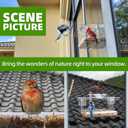 WENMIXER Window Bird Feeder with Non-Marking Self-Adhesive Hooks, Clear and Transparent, Outdoor Wild Bird Watching Gift, Garden Decor (Standard)