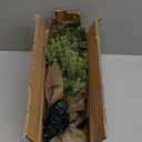 Kurt Adler 12 Miniature Pine Tree (1ft)